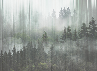 Фотообои Foresta 12, FORESTA, Wall street